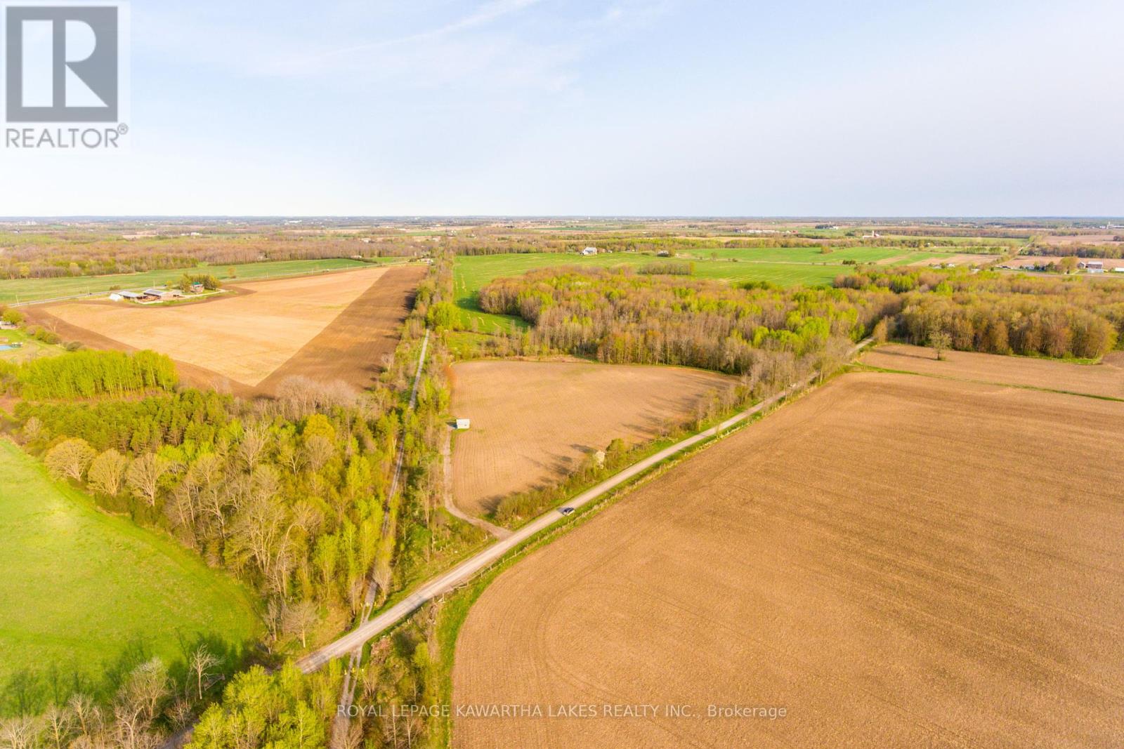 0 Lilac Road, Kawartha Lakes, Ontario  K0L 2X0 - Photo 6 - X8442262