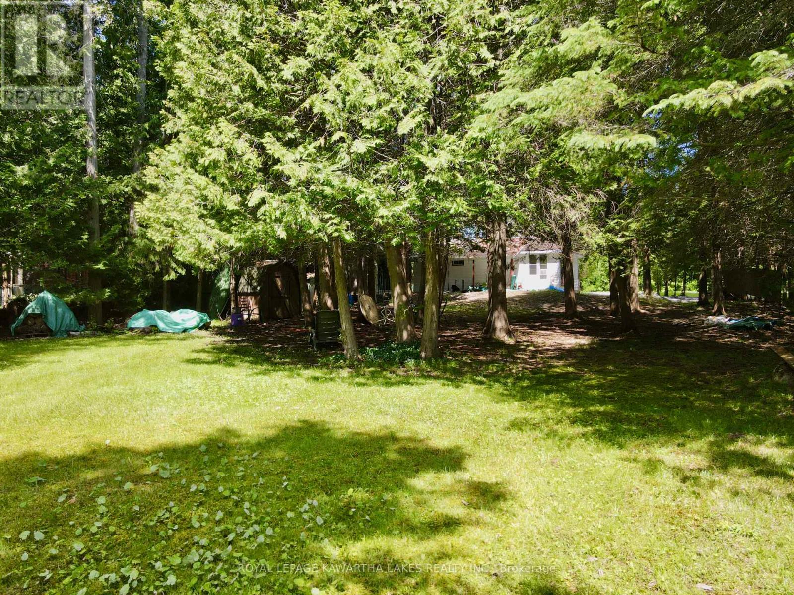 81 Mcguire Beach Road, Kawartha Lakes, Ontario  K0M 2B0 - Photo 38 - X9040953