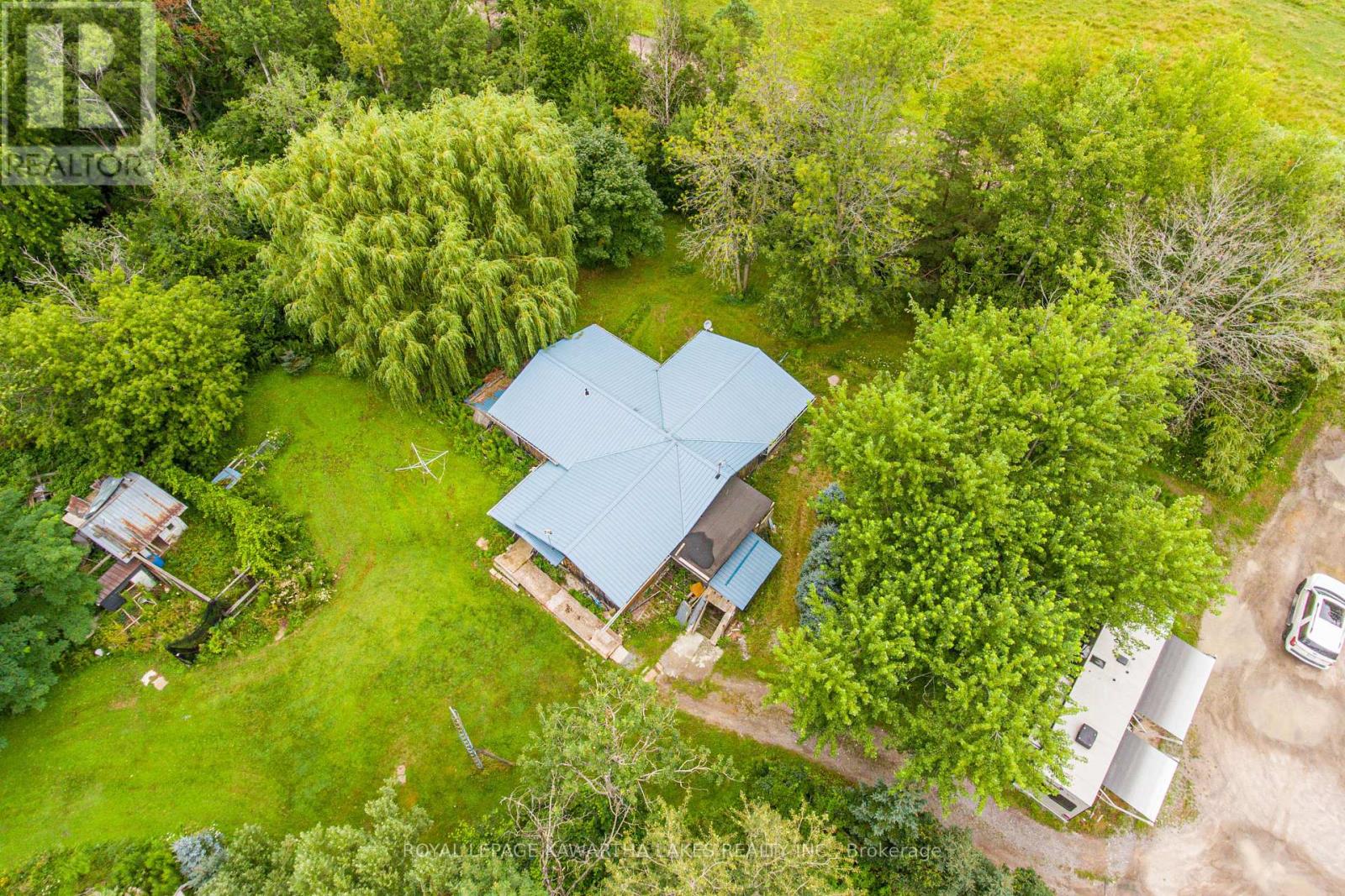 917 Settlers Road, Kawartha Lakes, Ontario  K9V 4R6 - Photo 5 - X9247315