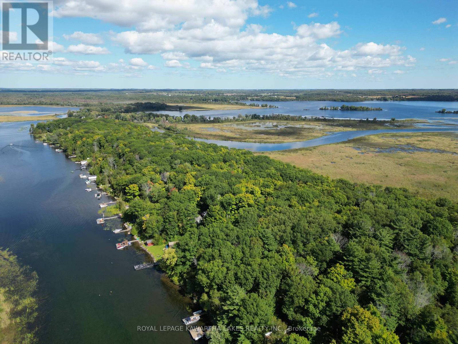 34 Deweys Island, Kawartha Lakes, Ontario  K0M 1N0 - Photo 35 - X9343972