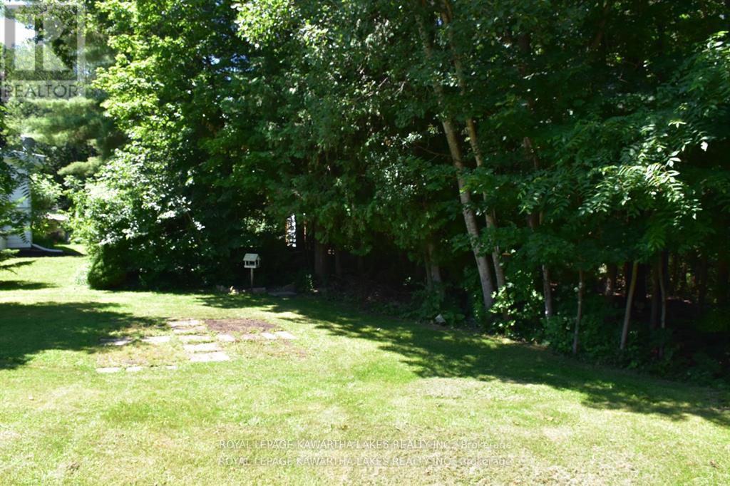 53 Baseline Road, Kawartha Lakes, Ontario  K0M 1K0 - Photo 20 - X9382772