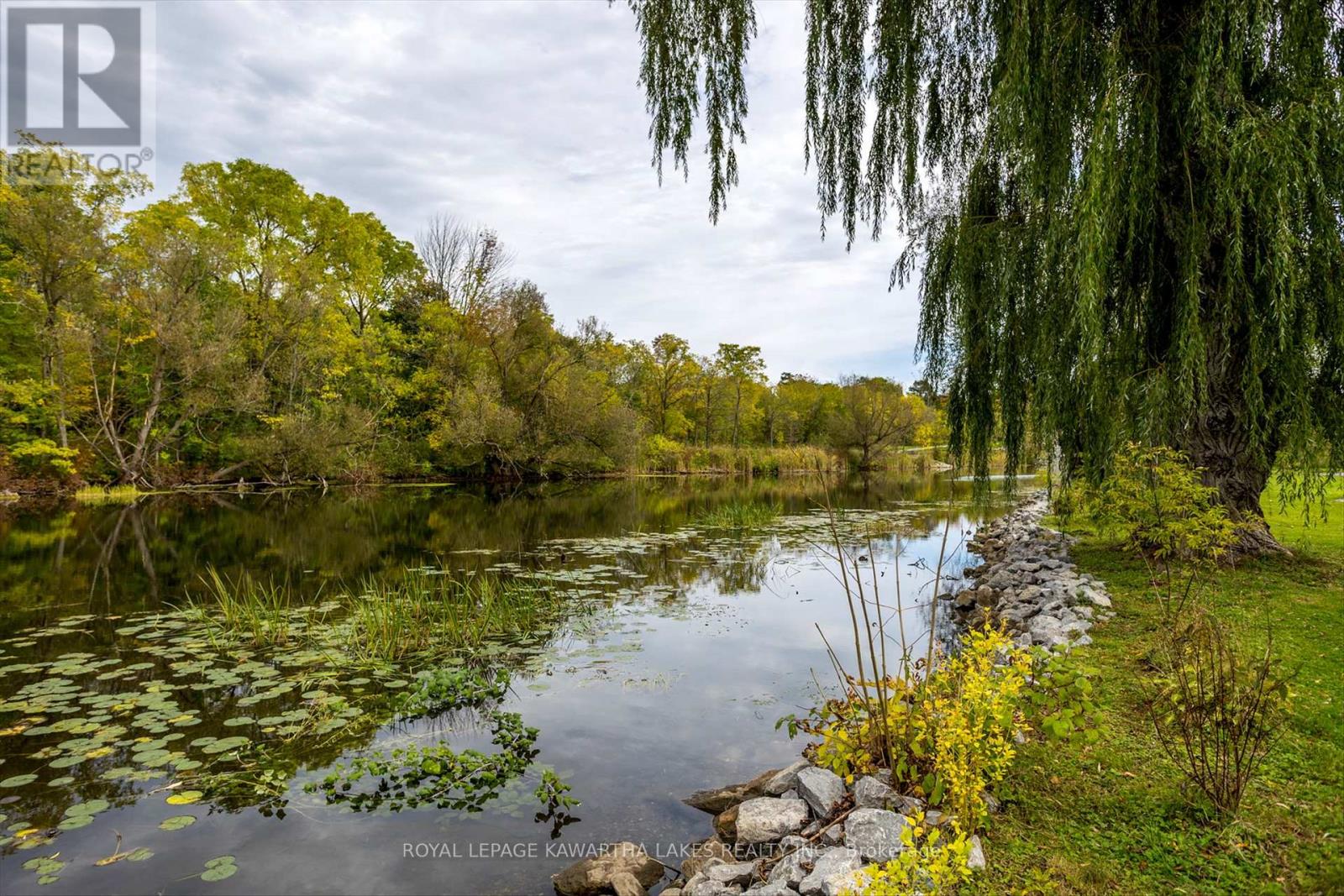 1 Water Street, Kawartha Lakes, Ontario  K9V 2C7 - Photo 34 - X9385515