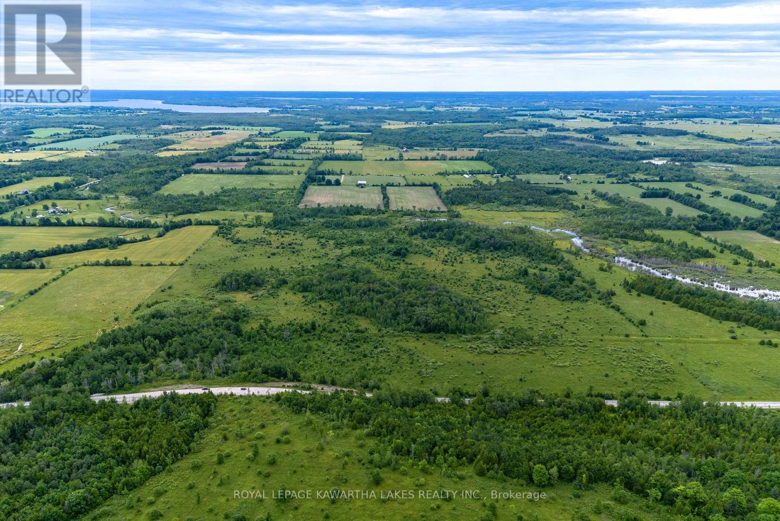 229 Creek View Road, Kawartha Lakes, Ontario  K0M 2T0 - Photo 4 - X10405595