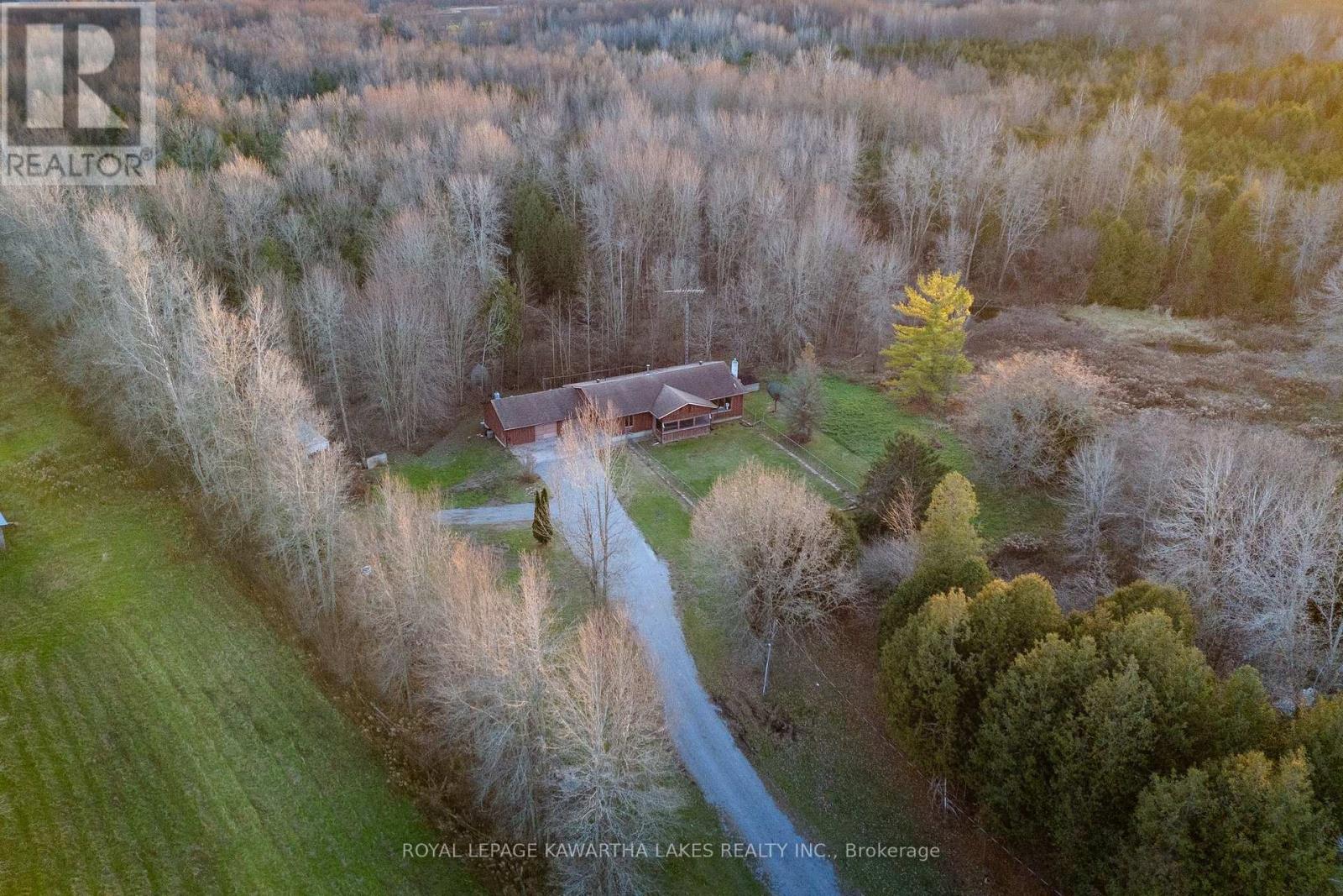 1377 Old Mill Road, Kawartha Lakes, Ontario  K0L 2W0 - Photo 10 - X10432577