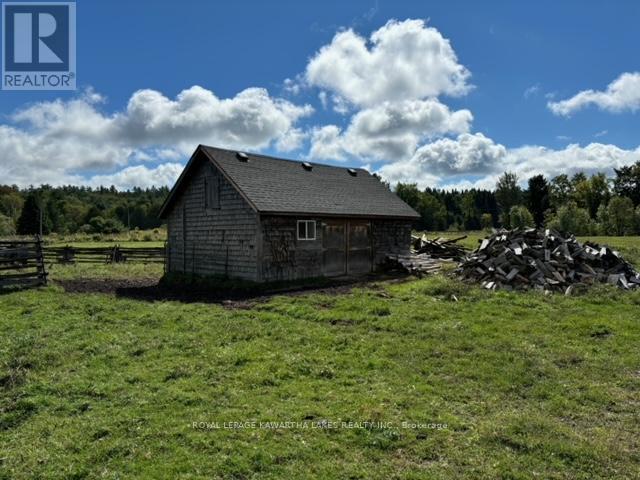 2433 Cty Road 121 Road, Kawartha Lakes, Ontario  K0M 1C0 - Photo 35 - X11976093