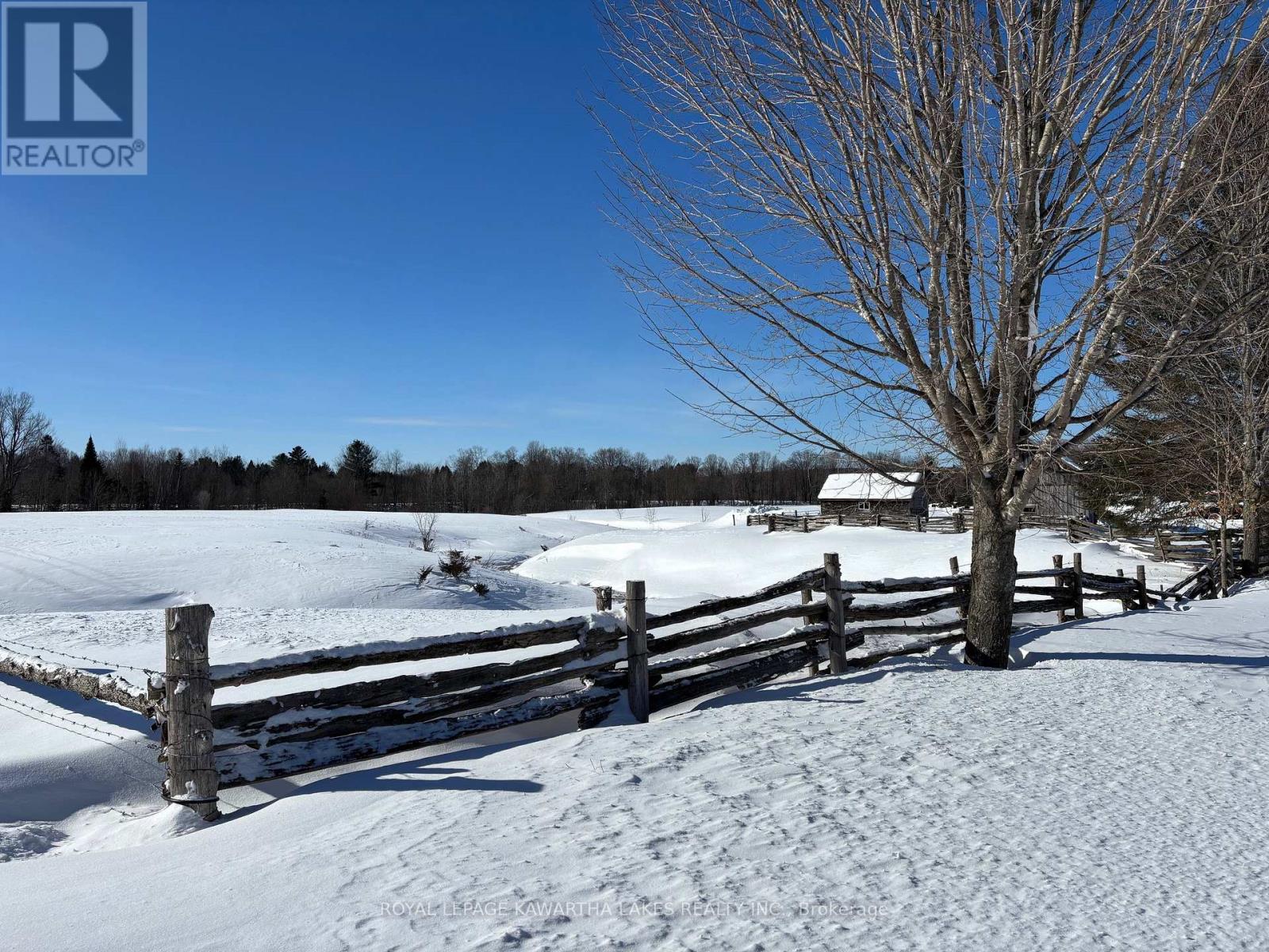 2433 Cty Road 121 Road, Kawartha Lakes, Ontario  K0M 1C0 - Photo 40 - X11976093