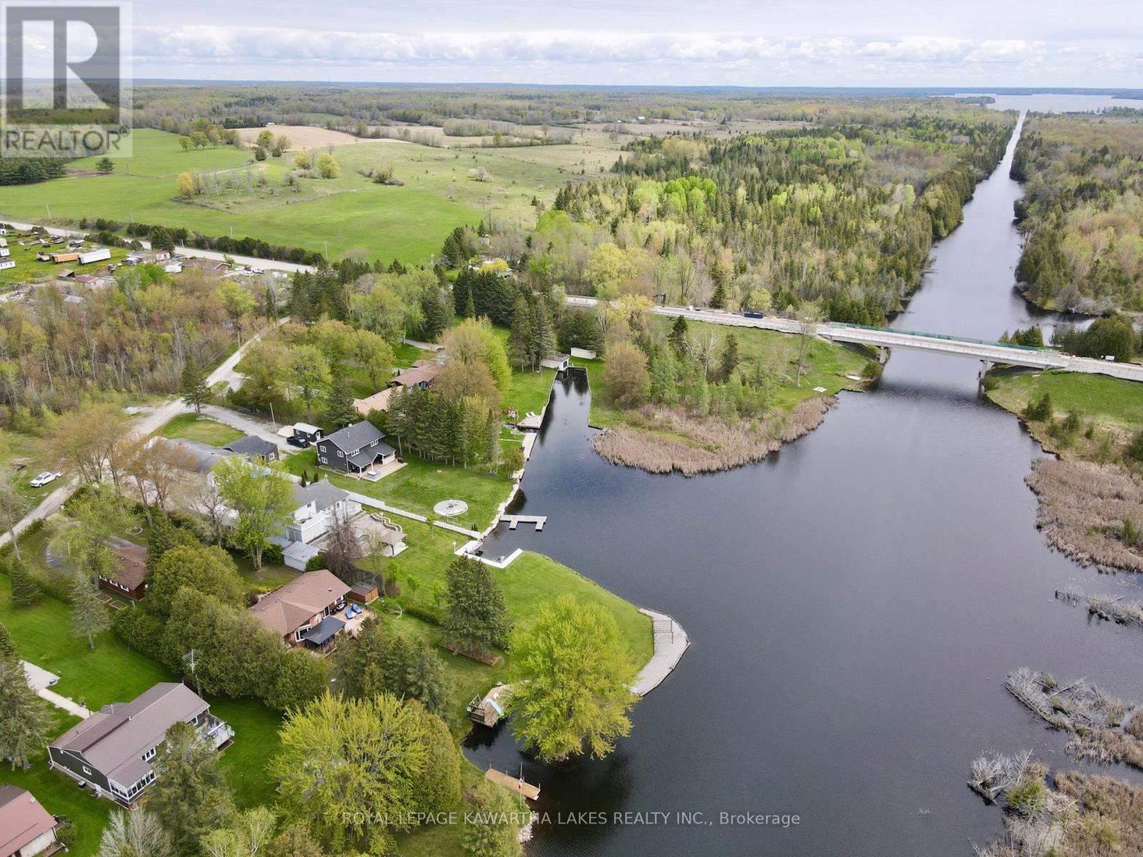 21 Trent View Road, Kawartha Lakes, Ontario  K0M 2B0 - Photo 12 - X11991008