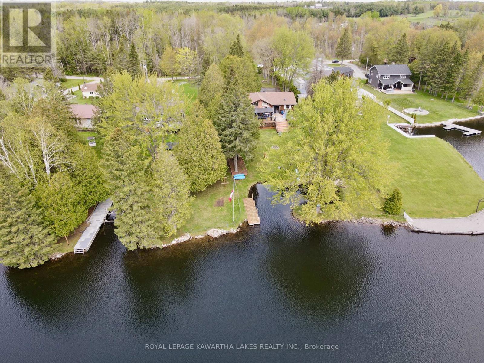 21 Trent View Road, Kawartha Lakes, Ontario  K0M 2B0 - Photo 6 - X11991008