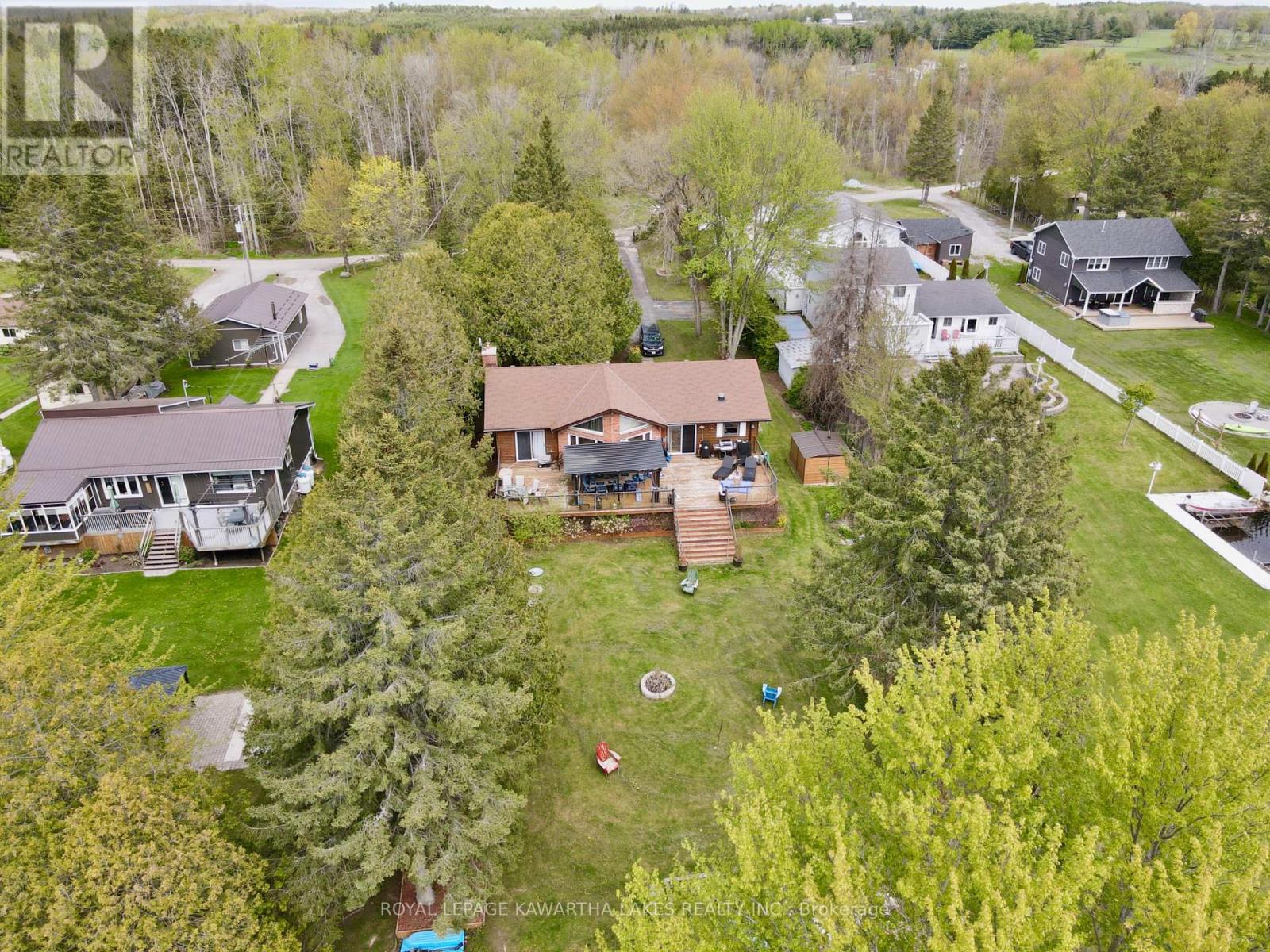 21 Trent View Road, Kawartha Lakes, Ontario  K0M 2B0 - Photo 8 - X11991008