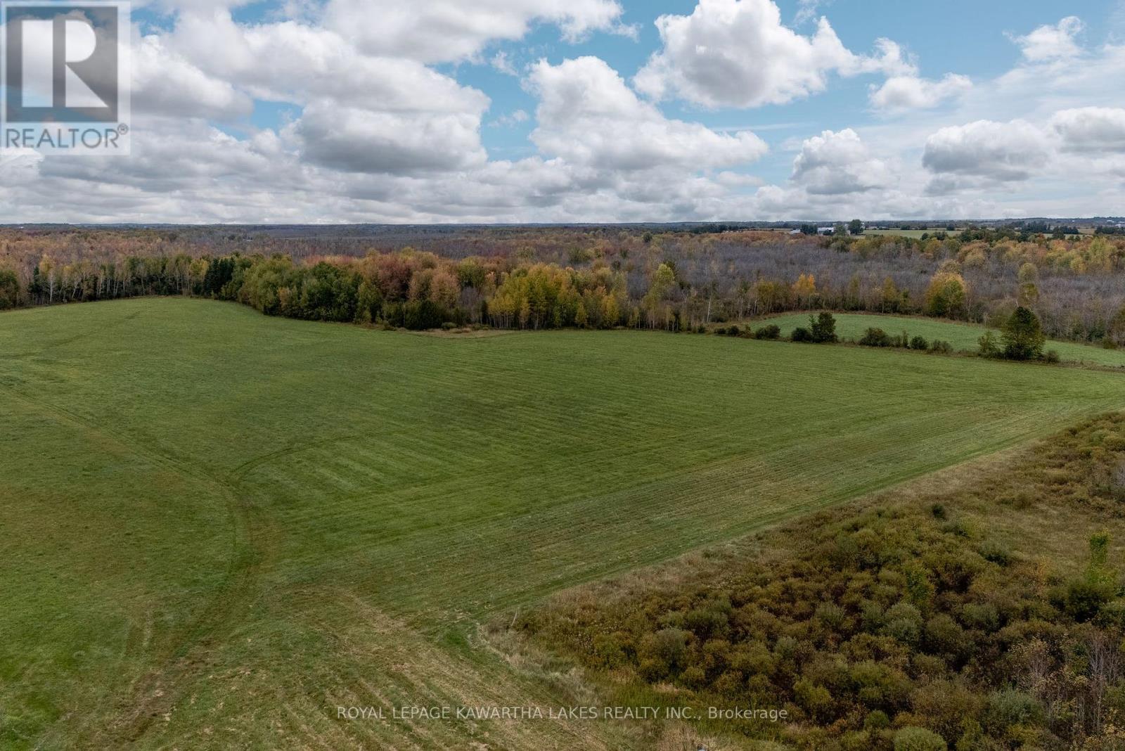 373 Cheese Factory Road, Kawartha Lakes, Ontario  K9V 4R3 - Photo 2 - X12002716