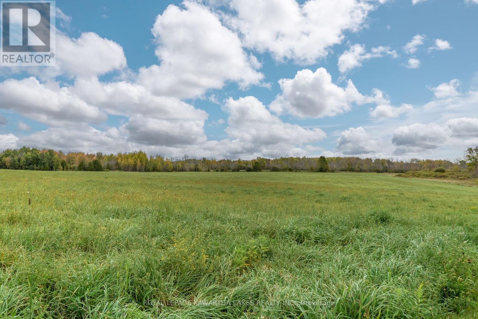 373 Cheese Factory Road, Kawartha Lakes, Ontario  K9V 4R3 - Photo 38 - X12002716