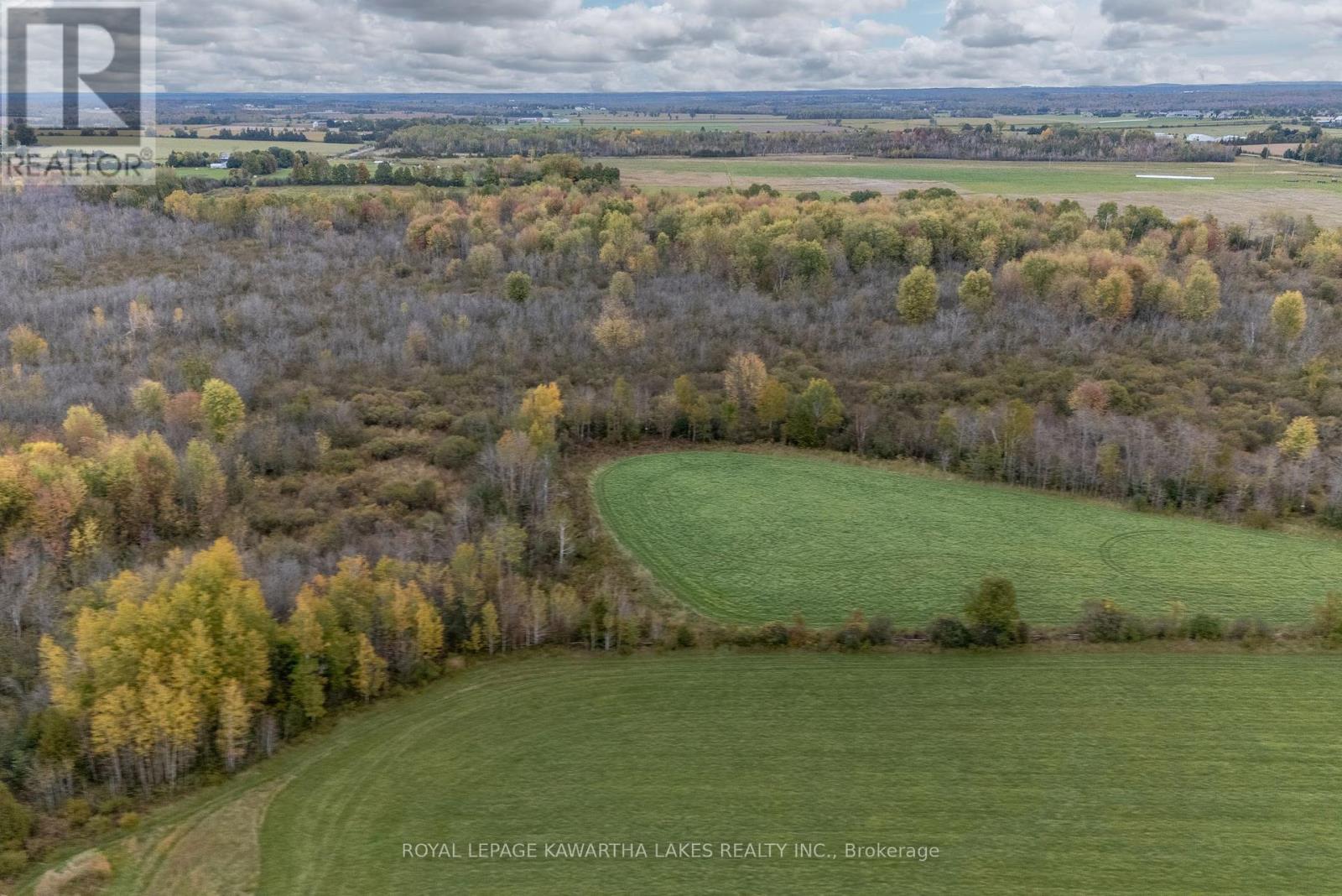 373 Cheese Factory Road, Kawartha Lakes, Ontario  K9V 4R3 - Photo 5 - X12002716