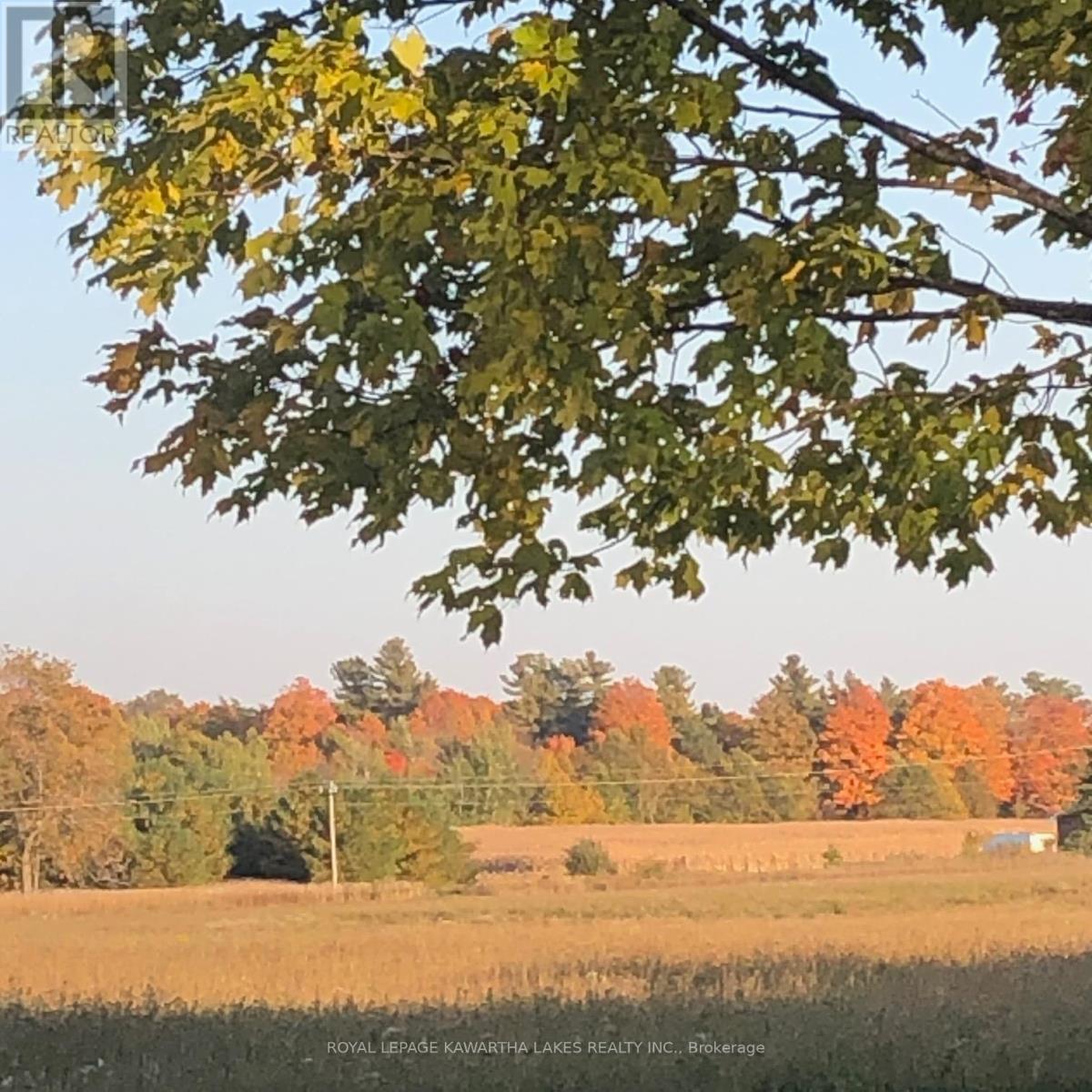 2960 Bradburn Road, Scugog, Ontario  L0B 1B0 - Photo 41 - E12104046