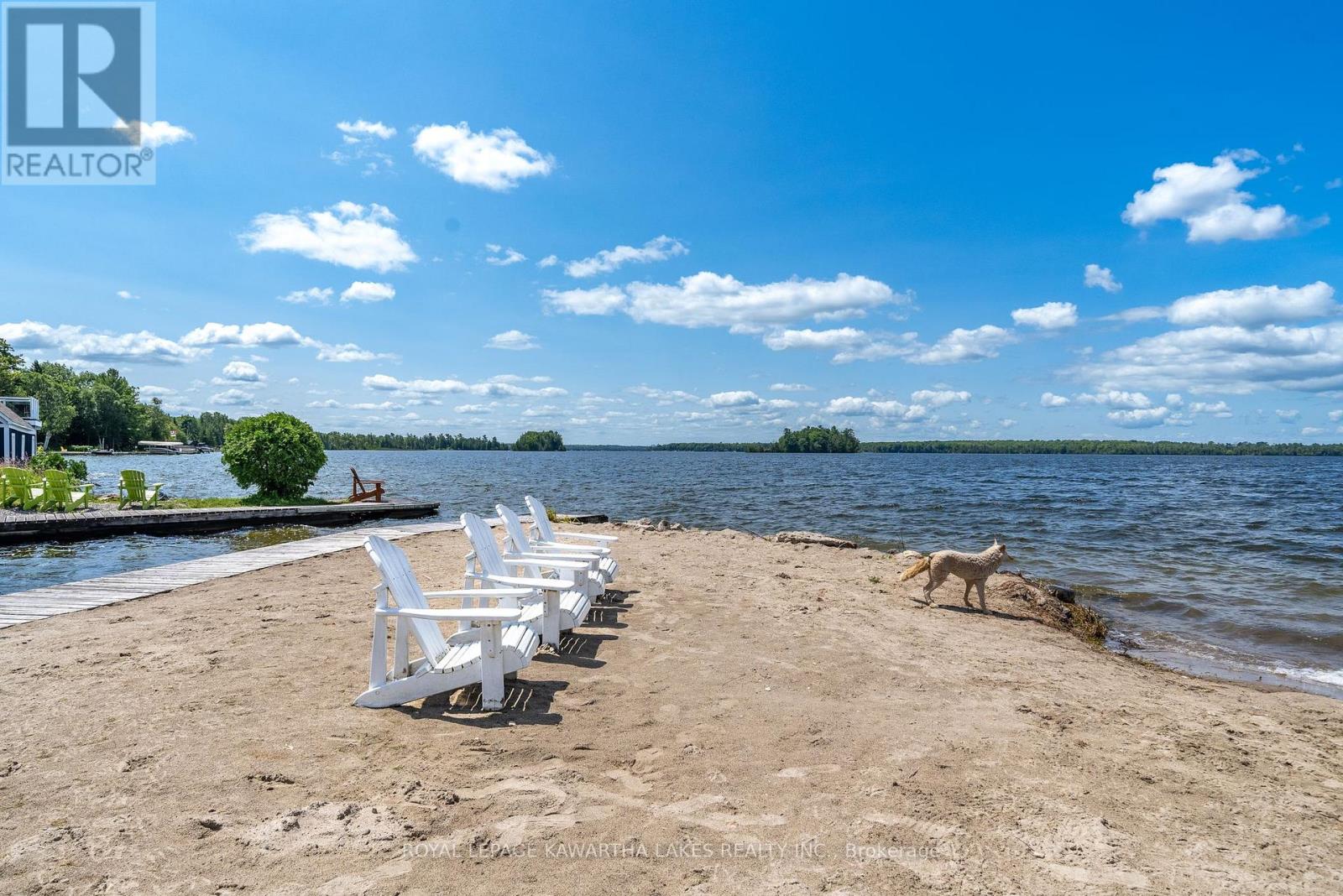 79 Rosedale Trail, Kawartha Lakes, Ontario  K0M 1N0 - Photo 39 - X12111349