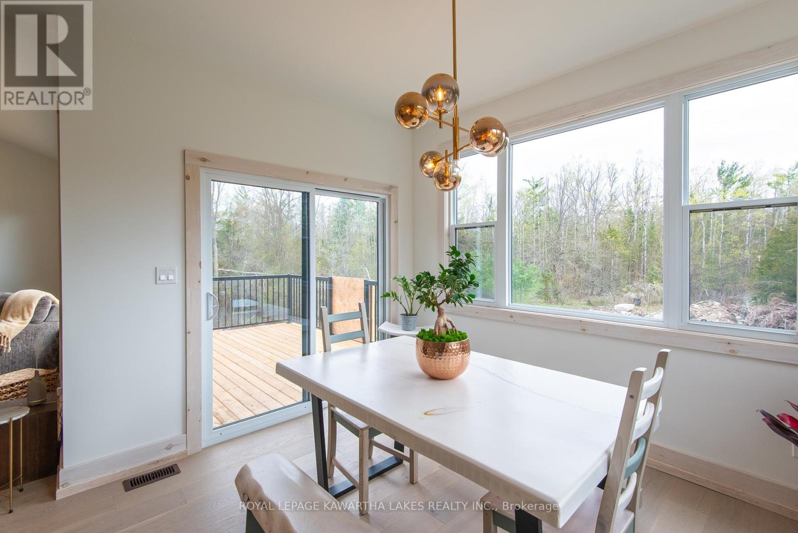 104 Moon Line Road N, Trent Lakes, Ontario  K0M 1A0 - Photo 13 - X12143680
