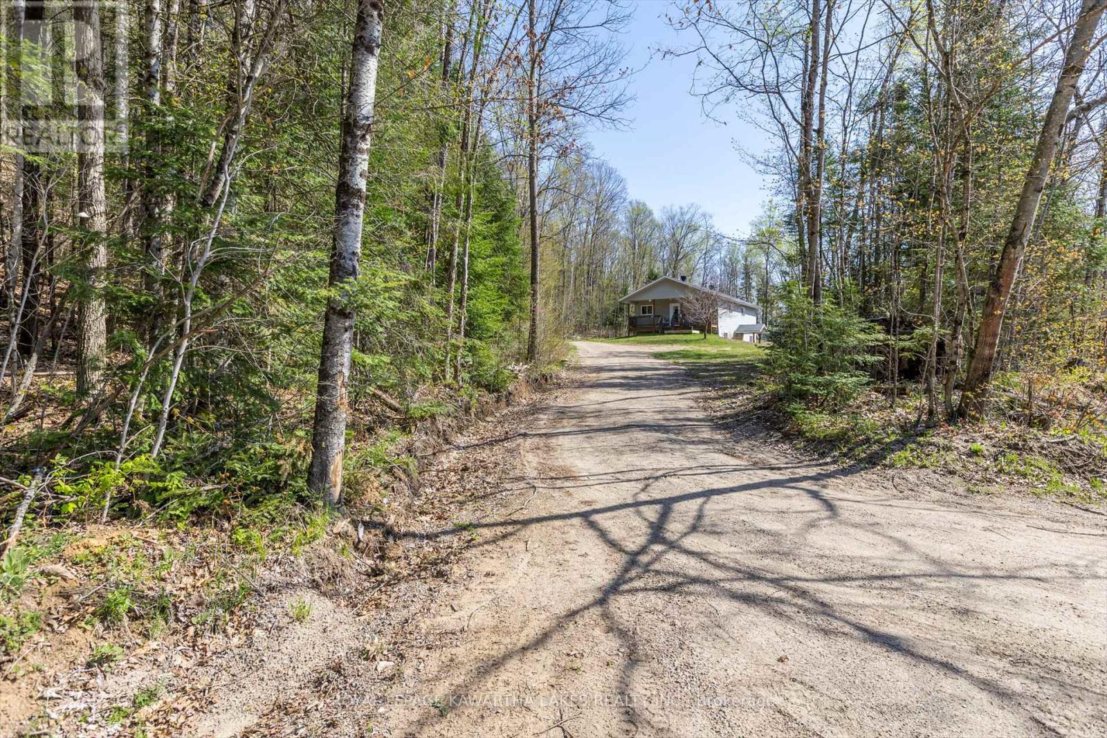 166 Jeffrey Lake Road, Faraday, Ontario  K0L 1C0 - Photo 33 - X12144731