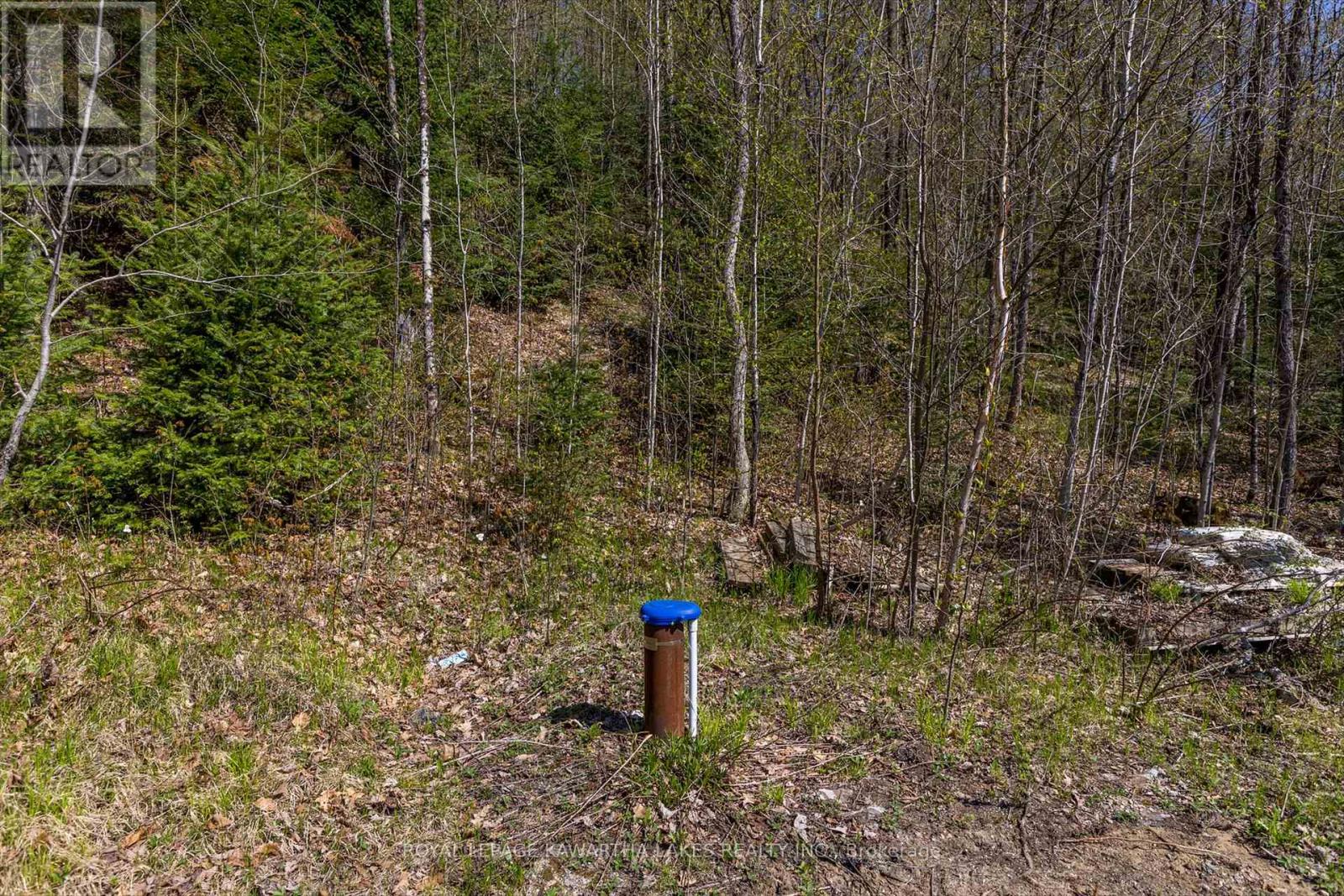 166 Jeffrey Lake Road, Faraday, Ontario  K0L 1C0 - Photo 36 - X12144731