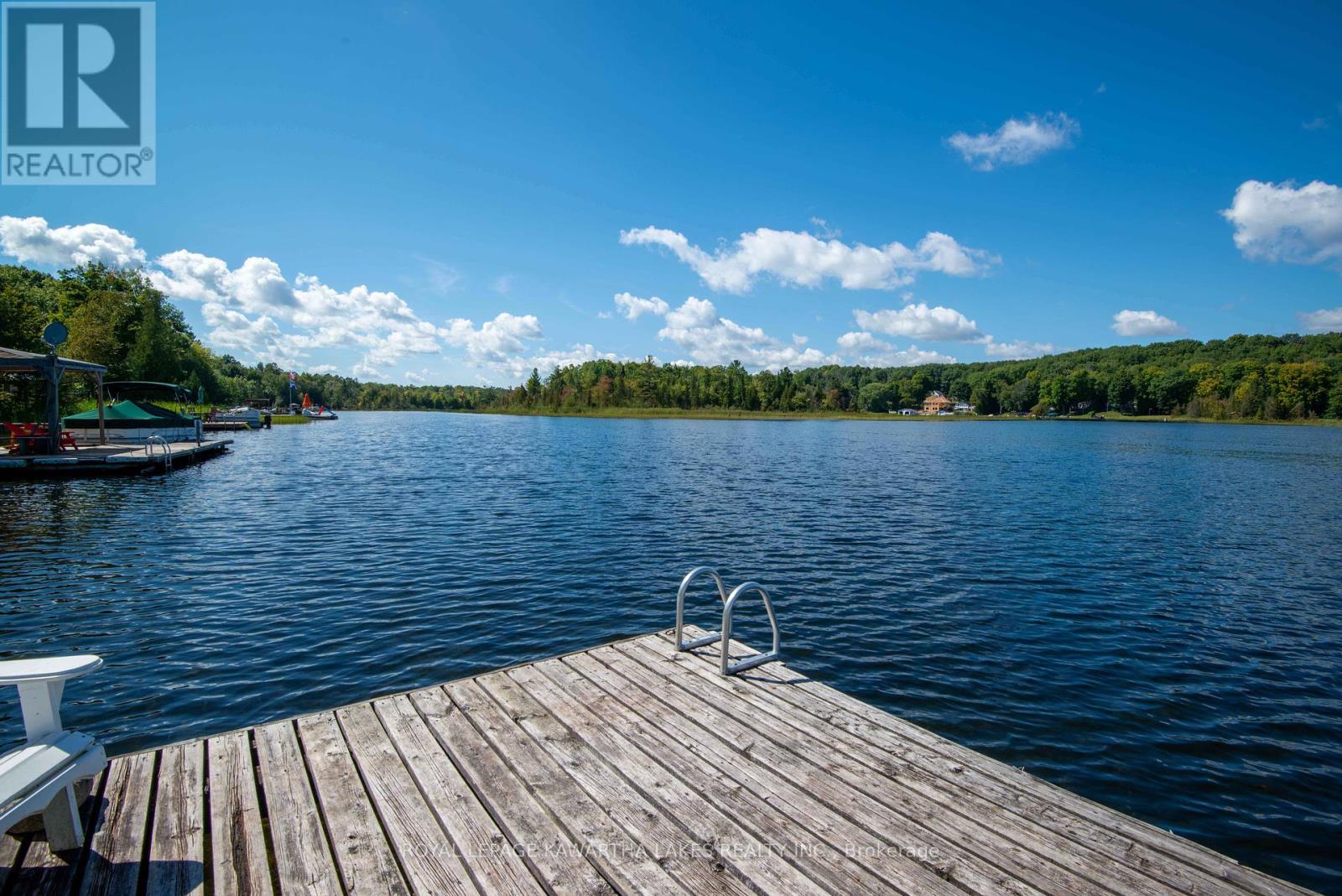34 Deweys Island, Kawartha Lakes, Ontario  K0M 1N0 - Photo 18 - X12152364