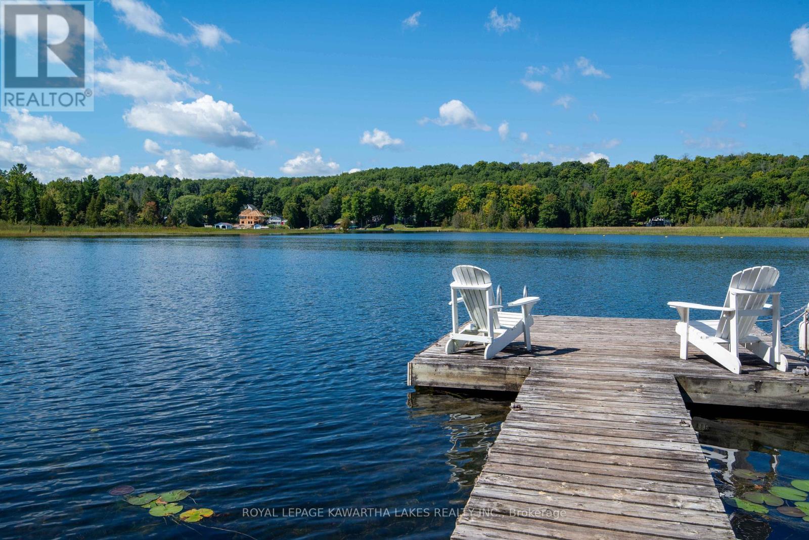 34 Deweys Island, Kawartha Lakes, Ontario  K0M 1N0 - Photo 19 - X12152364