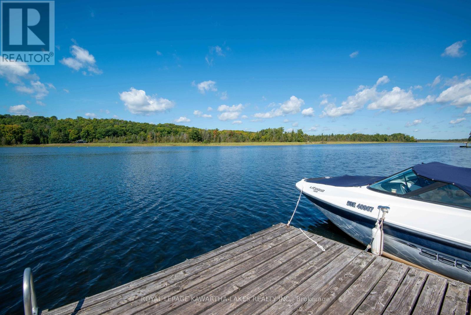 34 Deweys Island, Kawartha Lakes, Ontario  K0M 1N0 - Photo 20 - X12152364