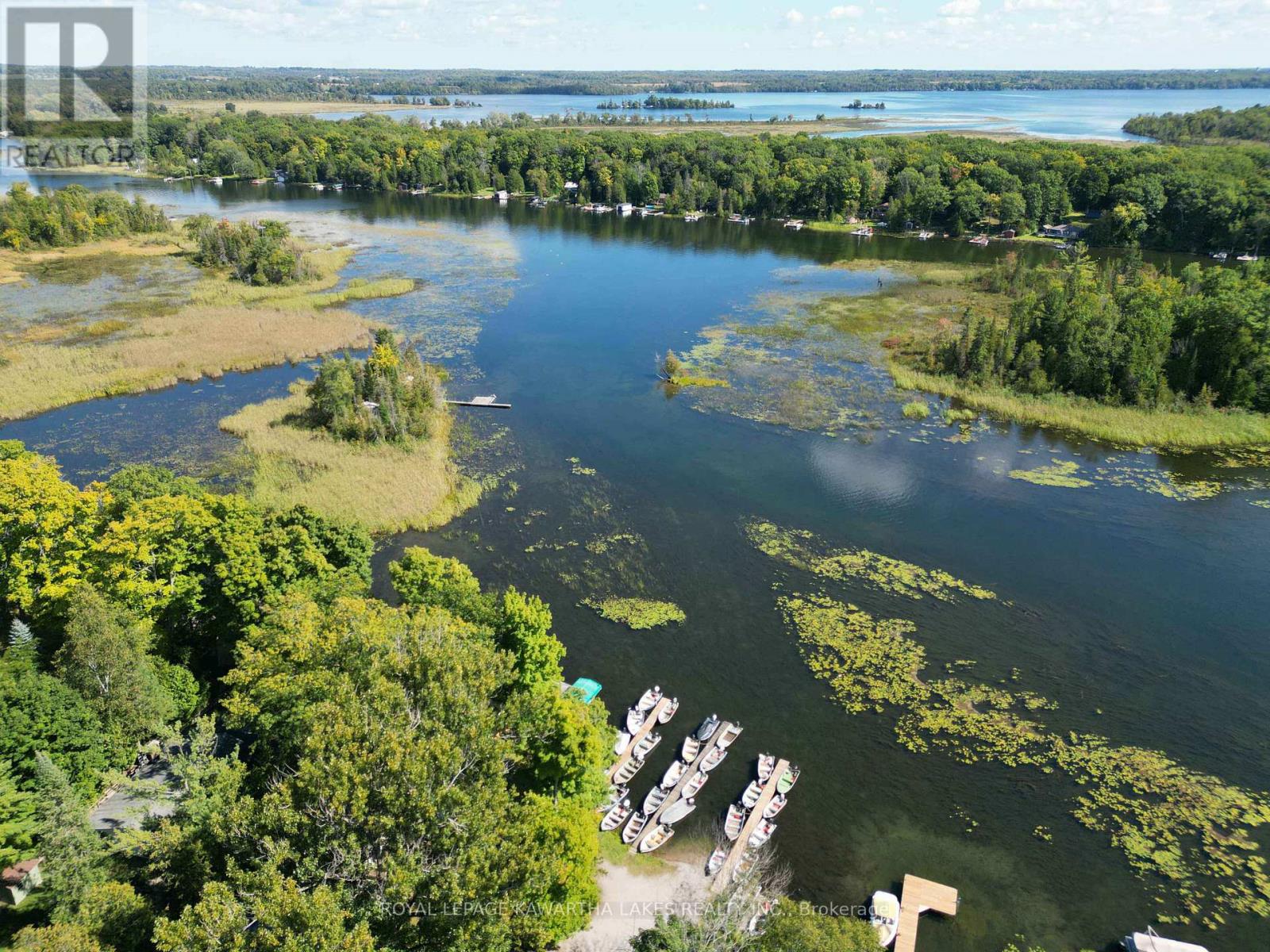 34 Deweys Island, Kawartha Lakes, Ontario  K0M 1N0 - Photo 33 - X12152364
