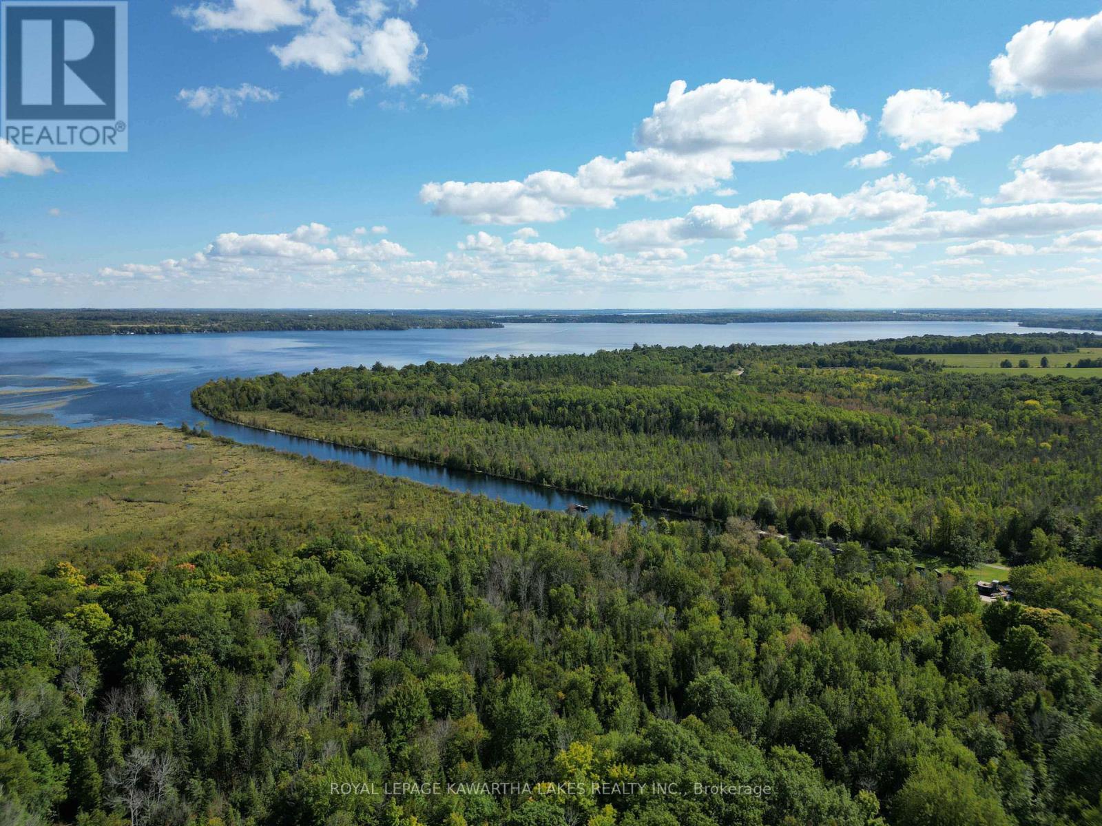34 Deweys Island, Kawartha Lakes, Ontario  K0M 1N0 - Photo 34 - X12152364