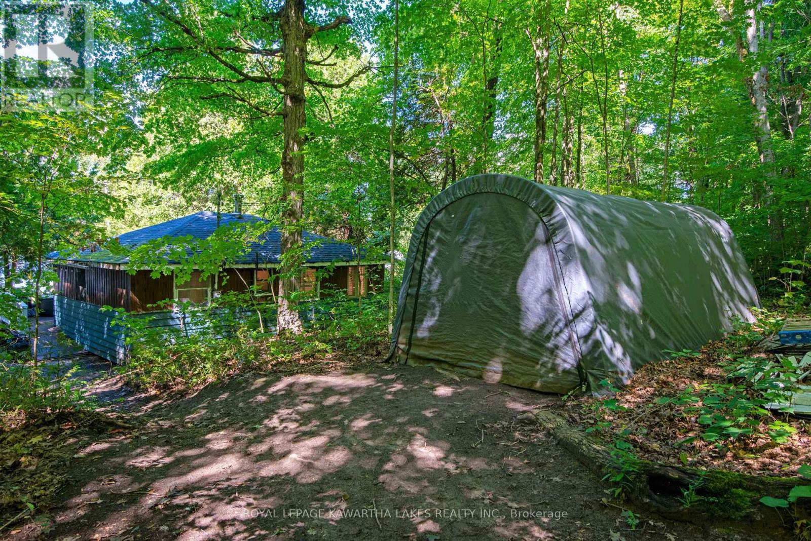 34 Deweys Island, Kawartha Lakes, Ontario  K0M 1N0 - Photo 38 - X12152364