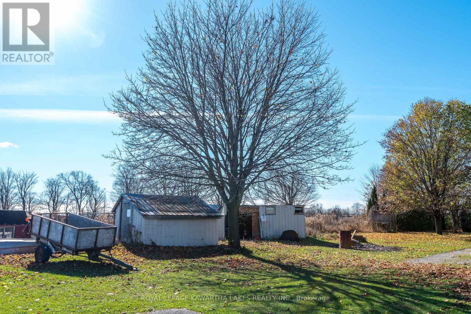 178 Grasshill Road, Kawartha Lakes, Ontario  K0M 2T0 - Photo 33 - X12154957