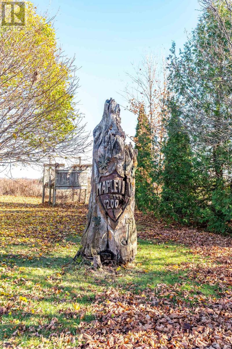 178 Grasshill Road, Kawartha Lakes, Ontario  K0M 2T0 - Photo 37 - X12154957