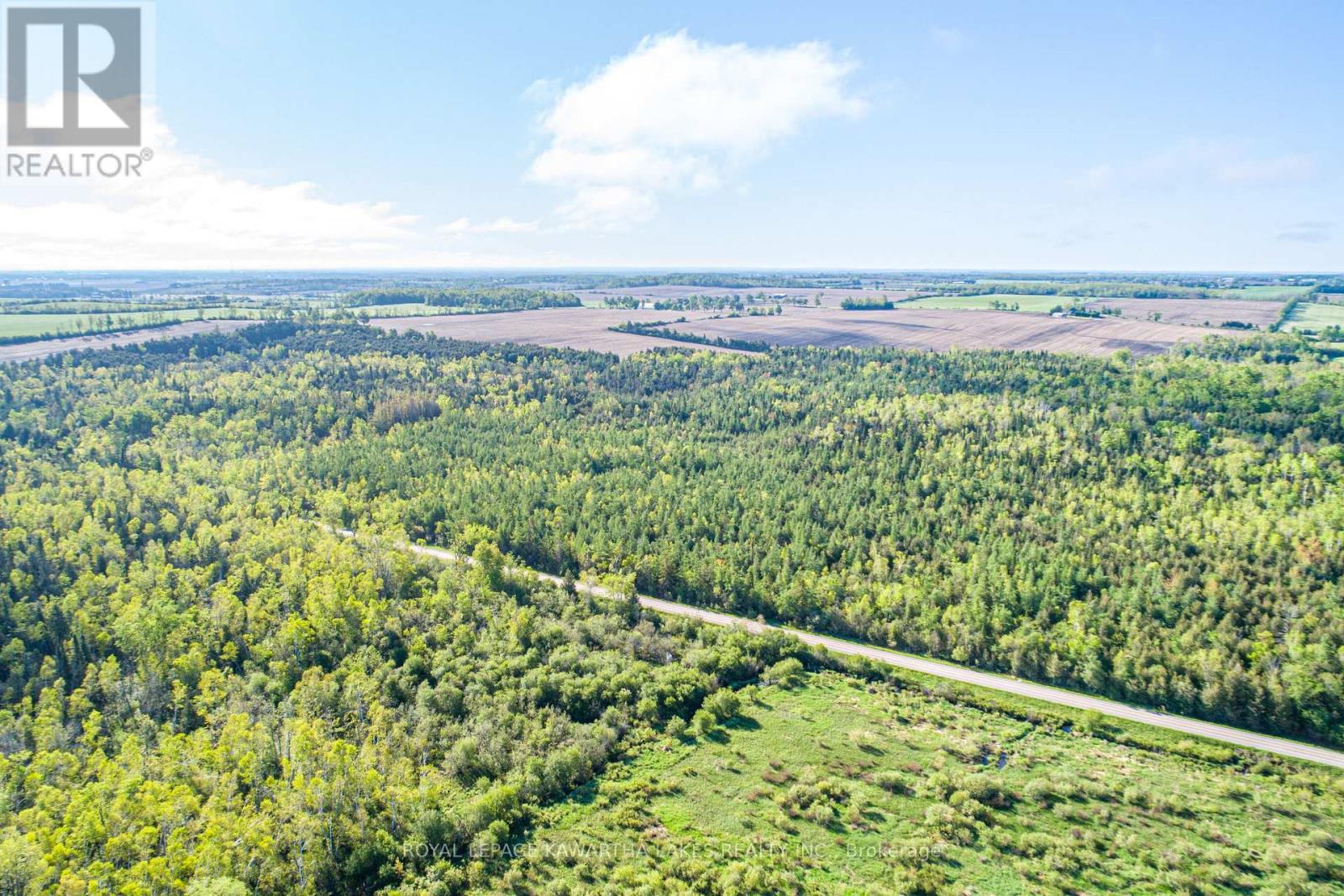 Lot 3 Black School Road, Kawartha Lakes, Ontario  K0M 2C0 - Photo 12 - X12175477