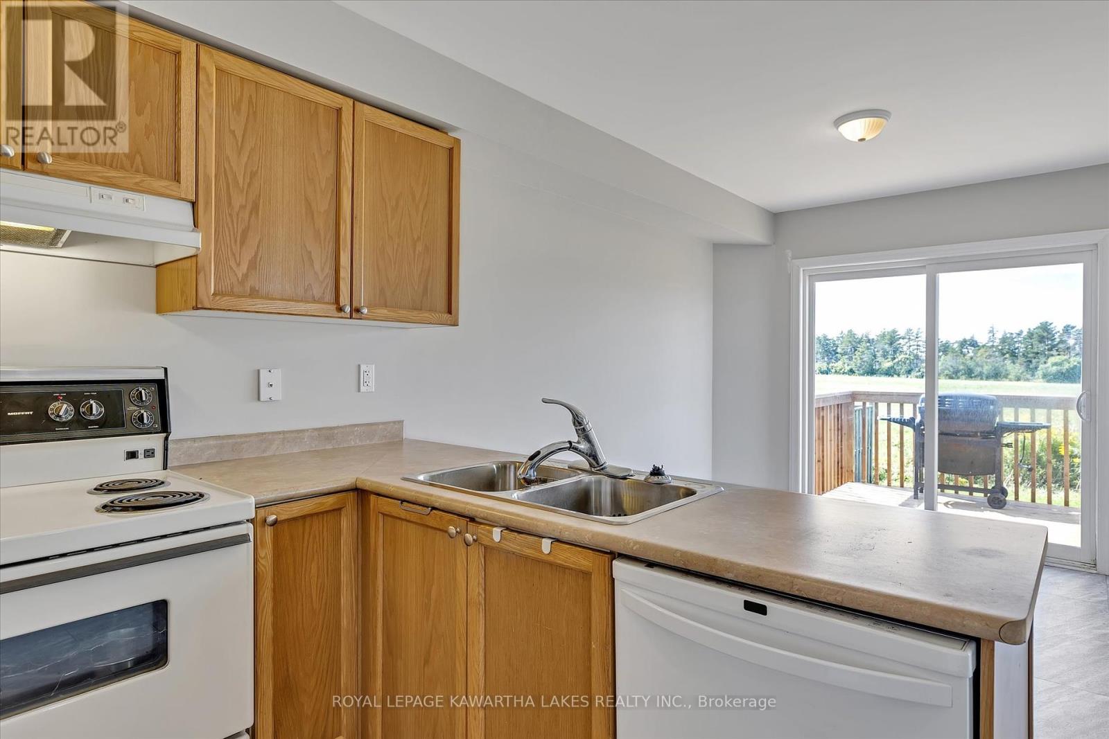 55 Truax Street, Kawartha Lakes, Ontario  K9V 0E3 - Photo 13 - X12189900