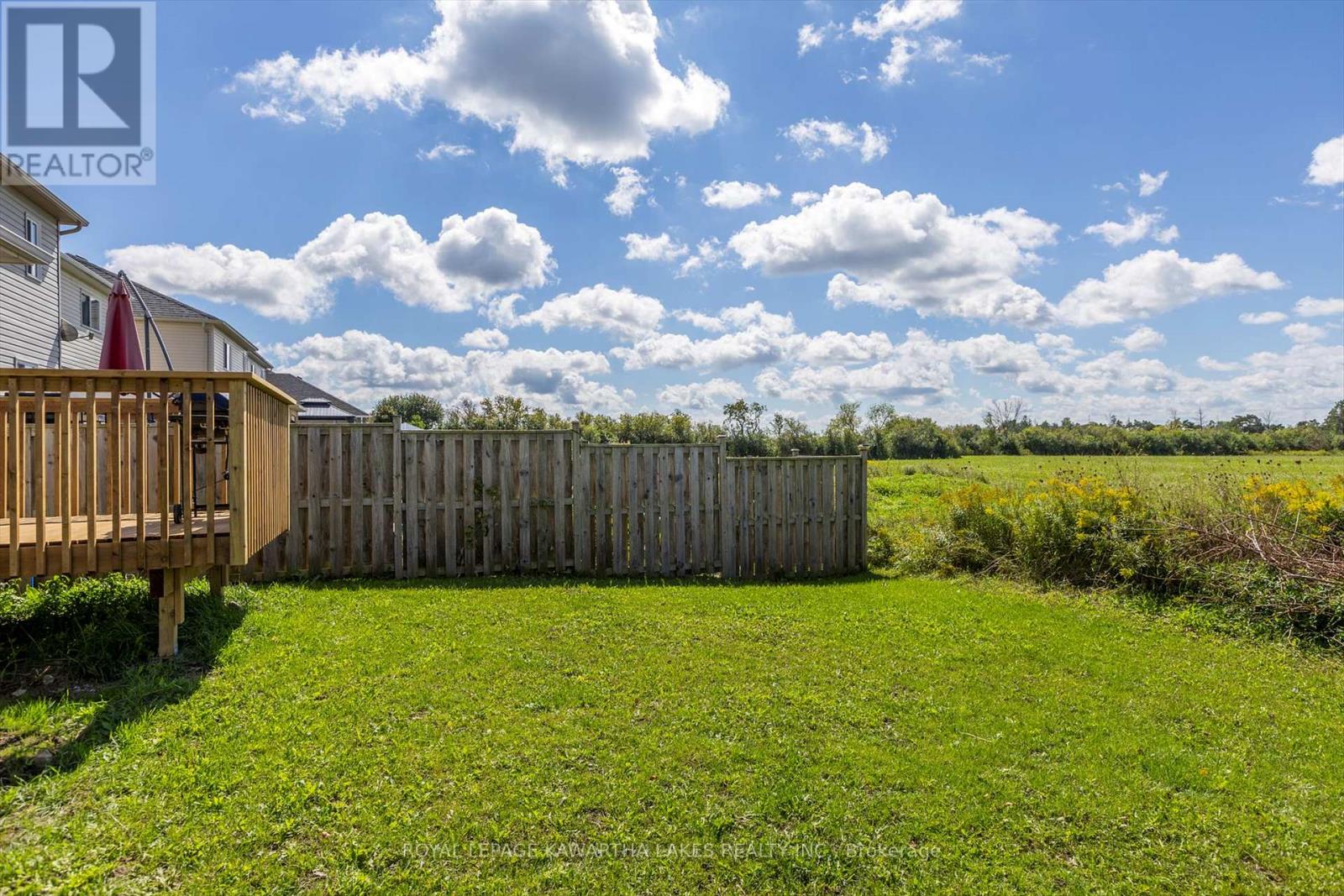 55 Truax Street, Kawartha Lakes, Ontario  K9V 0E3 - Photo 40 - X12189900